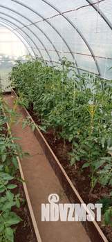 Дом 54м², 2-этажный, участок 7 сот.