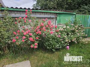 Дом 65м², 1-этажный, участок 4 сот.