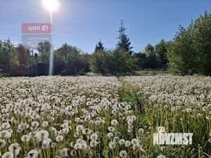 Дом 30м², 1-этажный, участок 12 сот.