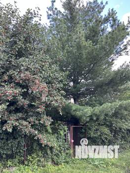 Дом 48м², 2-этажный, участок 3 сот.