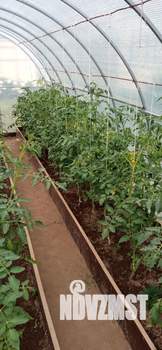 Дом 54м², 2-этажный, участок 7 сот.