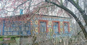 Дом 39м², 1-этажный, участок 6 сот.