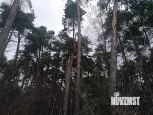 Дом 44м², 1-этажный, участок 12 сот.