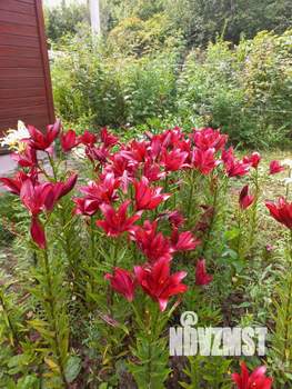 Дом 49м², 2-этажный, участок 13 сот.