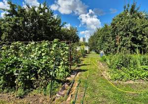 Дом 86м², 1-этажный, участок 15 сот.