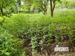 Дом 18м², 1-этажный, участок 6 сот.