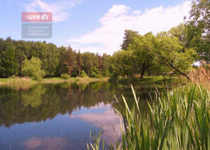 Дом 88м², 1-этажный, участок 6 сот.