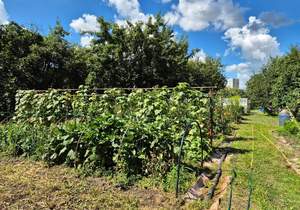 Дом 86м², 1-этажный, участок 15 сот.