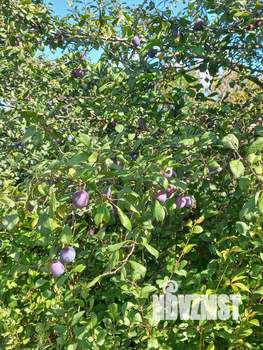 Дом 49м², 2-этажный, участок 13 сот.