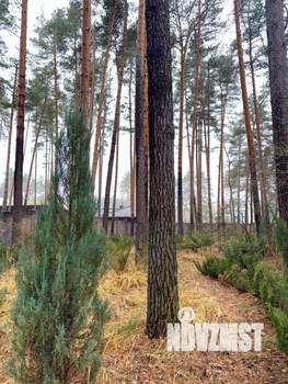 Дом 230м², 2-этажный, участок 25 сот.