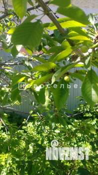 Дом 104м², 1-этажный, участок 4 сот.