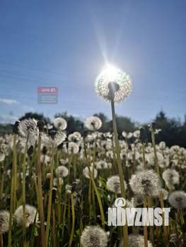 Дом 30м², 1-этажный, участок 12 сот.