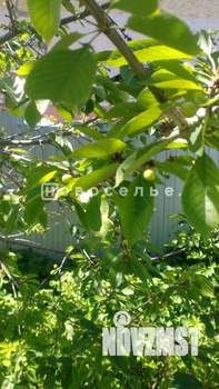 Дом 104м², 1-этажный, участок 4 сот.