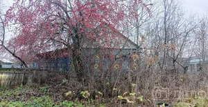 Дом 39м², 1-этажный, участок 6 сот.