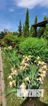 Коттедж 240м², 2-этажный, участок 30 сот.