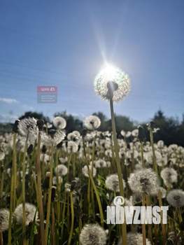 Дом 30м², 1-этажный, участок 12 сот.