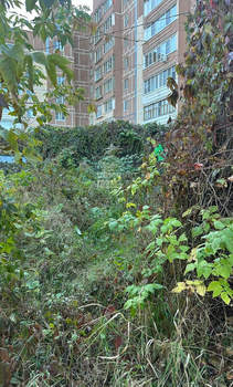 Дом 40м², 1-этажный, участок 6 сот.