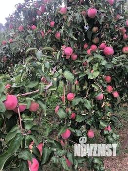 Дом 10м², 1-этажный, участок 16 сот.