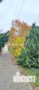 Дом 59м², 1-этажный, на длительный срок, 