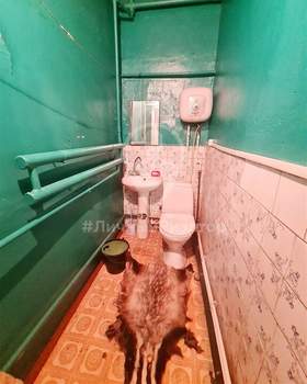 Дом 51м&sup2;, 1-этажный, участок 10 сот.  