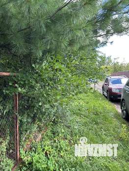 Дом 48м², 2-этажный, участок 3 сот.  