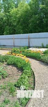 Дом 54м&sup2;, 2-этажный, участок 7 сот.  