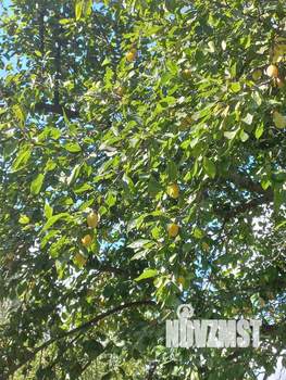 Дом 49м², 2-этажный, участок 13 сот.  