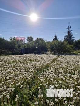 Дом 30м², 1-этажный, участок 12 сот.  