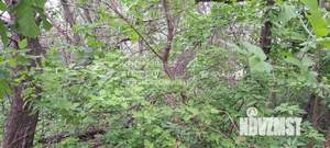 Дом 48м², 1-этажный, участок 15 сот.  