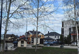 Дом 100м&sup2;, 2-этажный, участок 4 сот.  