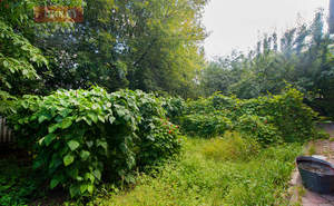 Дом 407м², 2-этажный, участок 12 сот.  