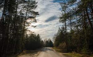 Дом 115м², 1-этажный, участок 11 сот.  