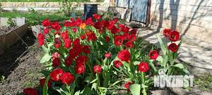 Дом 34м², 2-этажный, участок 5 сот.  