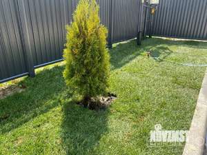 Таунхаус 189м², 3-этажный, участок 2 сот.  