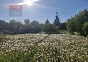 Дом 30м&sup2;, 1-этажный, участок 12 сот.  