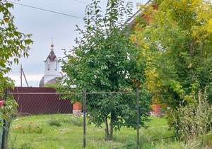 Дом 98м², 1-этажный, участок 16 сот.  