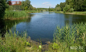 Дом 88м², 1-этажный, участок 6 сот.  