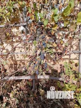 Дом 90м&sup2;, 2-этажный, участок 4 сот.  