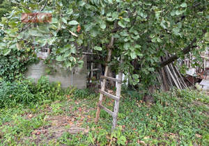 Дом 30м², 1-этажный, участок 4 сот.  