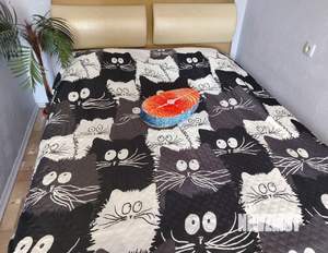 1-к квартира, посуточно, 42м2, 4/10 этаж