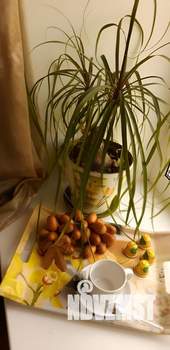 1-к квартира, посуточно, 43м2, 11/20 этаж