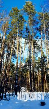 3-к квартира, на длительный срок, 79м2, 5/5 этаж