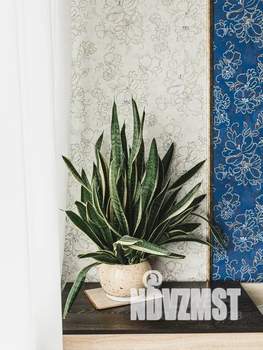 2-к квартира, посуточно, 55м2, 5/10 этаж