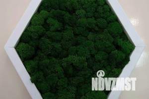 1-к квартира, посуточно, 51м2, 3/7 этаж