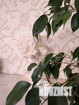 2-к квартира, посуточно, 85м2, 2/17 этаж