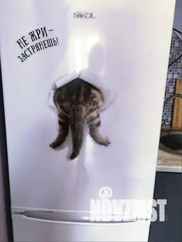 1-к квартира, посуточно, 40м2, 8/25 этаж