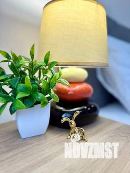 Студия квартира, посуточно, 30м2, 8/24 этаж