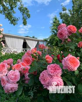 3-к квартира, на длительный срок, 79м2, 5/5 этаж