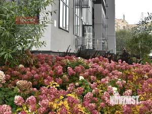 2-к квартира, вторичка, 57м2, 20/25 этаж