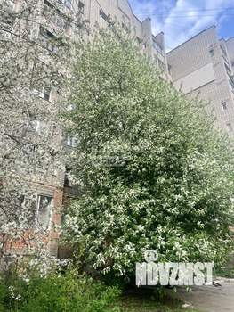2-к квартира, вторичка, 50м2, 9/9 этаж